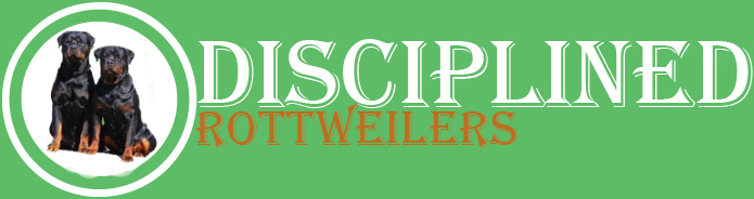 disciplinedrottweilers.com